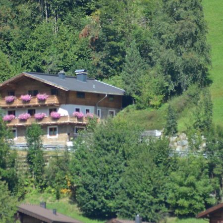 Ferienhaus Rieder Wald im Pinzgau Luaran gambar