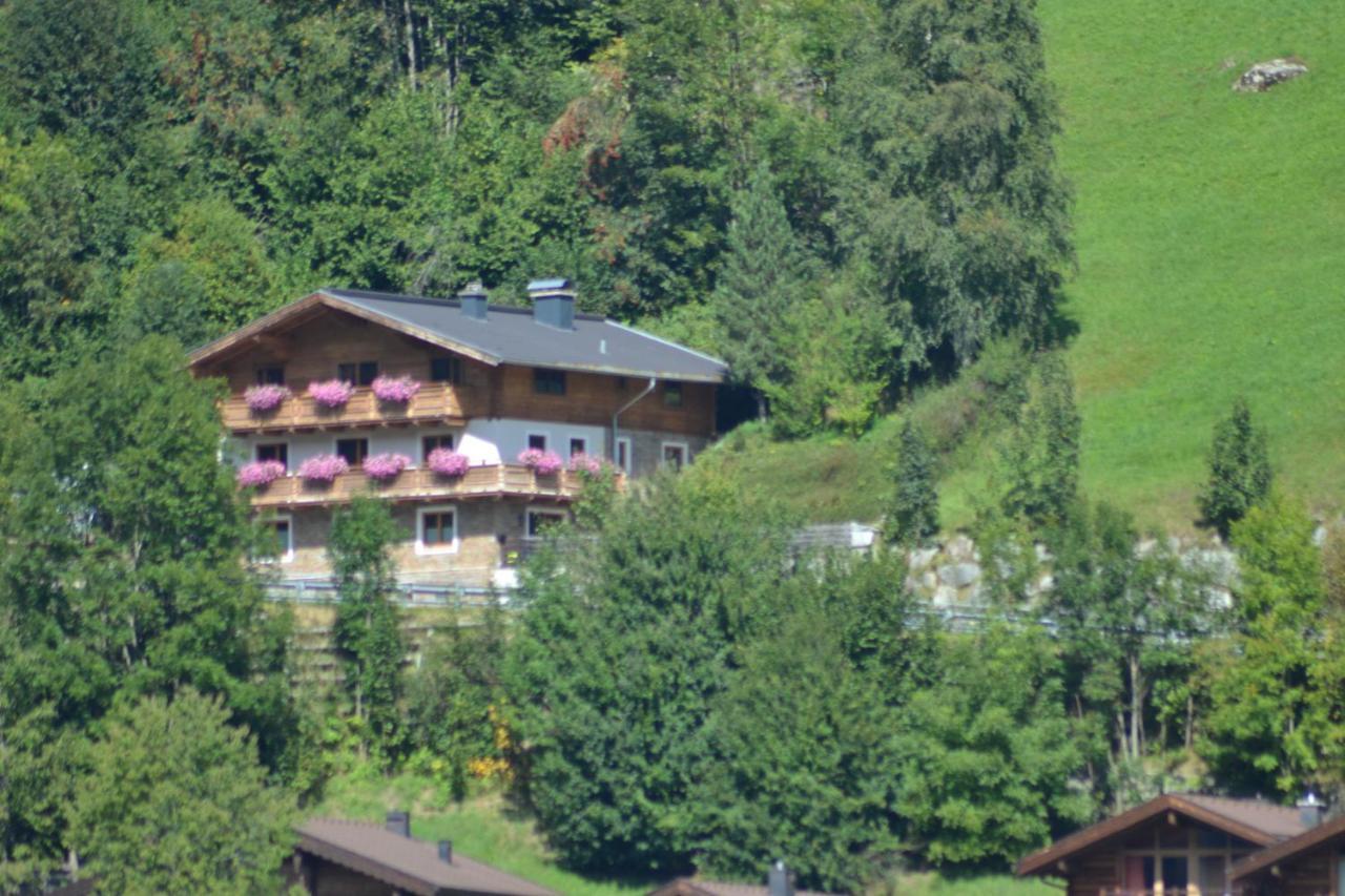 Ferienhaus Rieder Wald im Pinzgau Luaran gambar